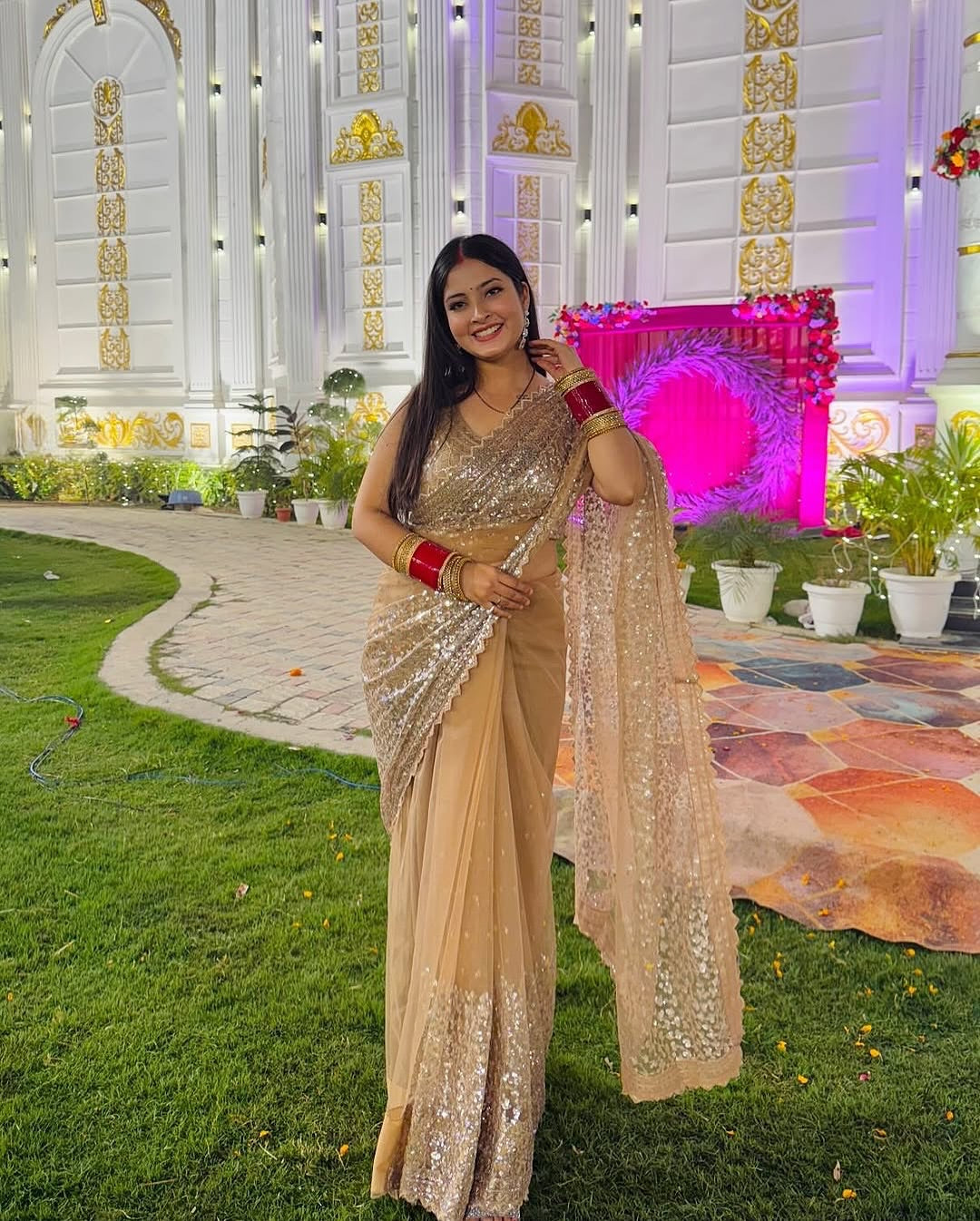 KRITIKA SINGH IN GOLDEN SOFT NET BEAUTIFUL DESIGNER SAREE